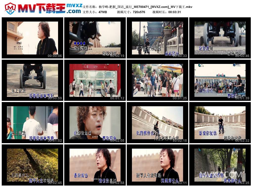 杨学峰-把握_国语_流行_ME700471